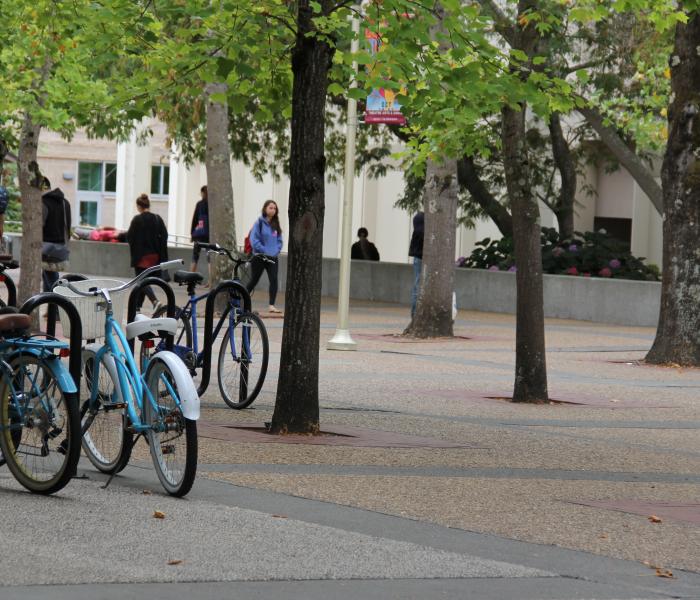 Bicycles and Students on Campus 