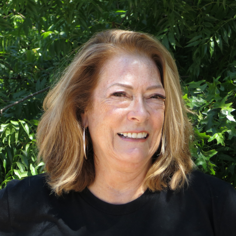 Paula Lane