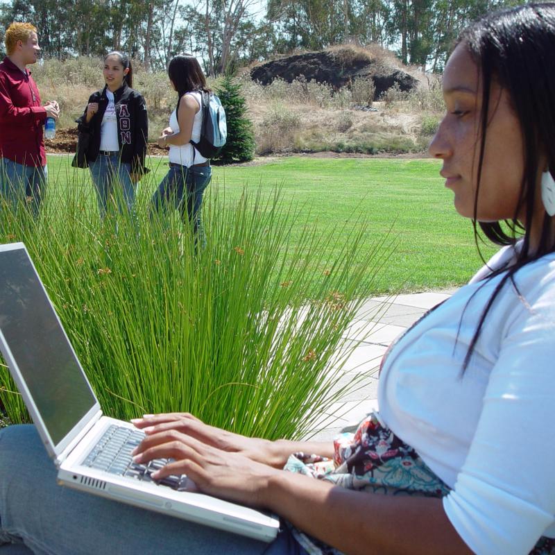 Students Working Outside
